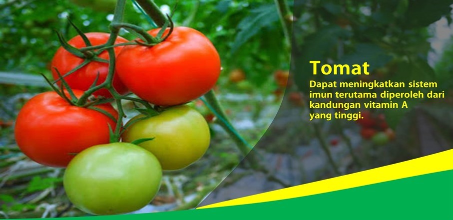 Manfaat Vitamin A Buah Tomat
